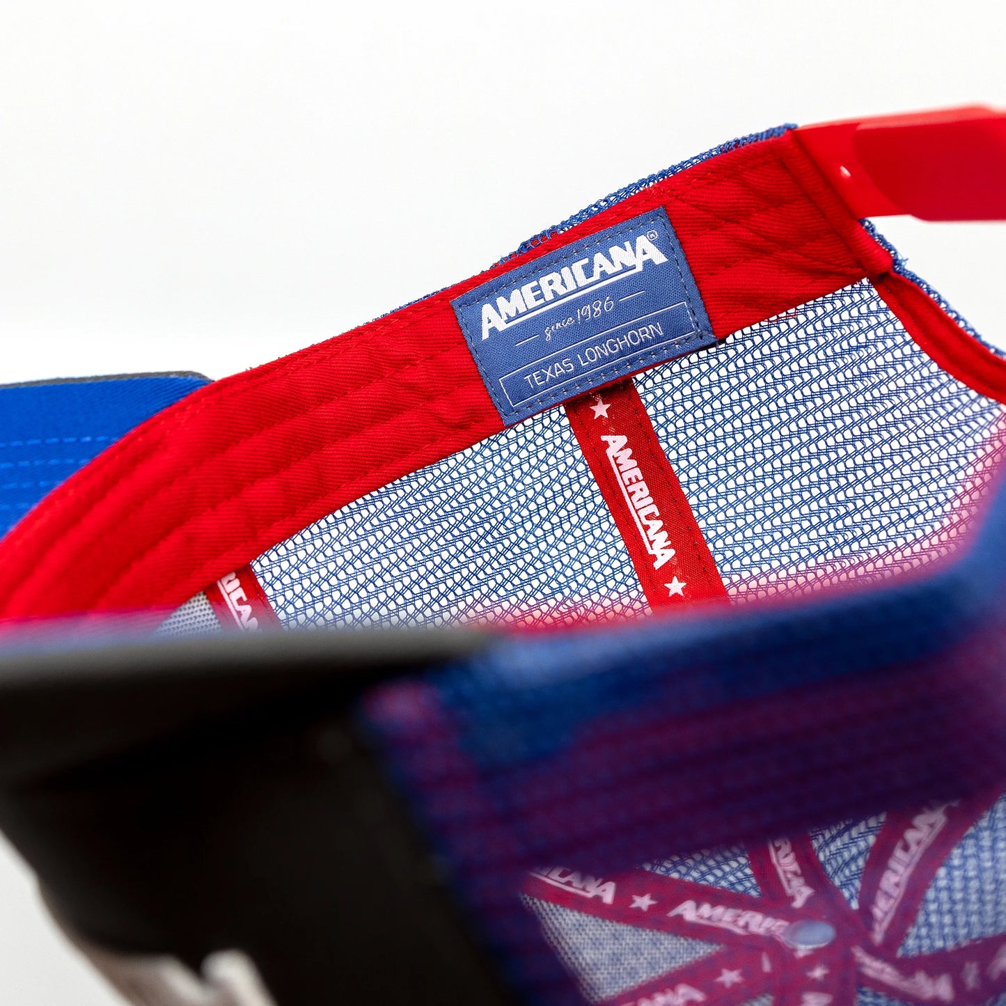 Texas Longhorn Trucker Cap Curved