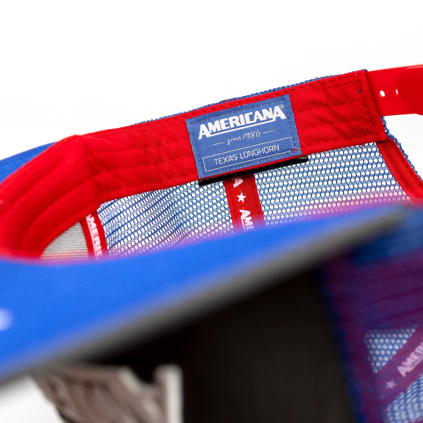 Texas Longhorn Trucker Cap Flat